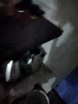 magicmovemen online show from March 2026 11:10:01 PM