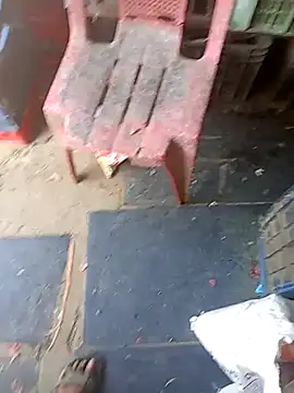 rohitrana56 online show from February 2026 10:23:01 AM