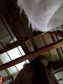 Heylen hooo online show from March 2026 02:32:02 PM