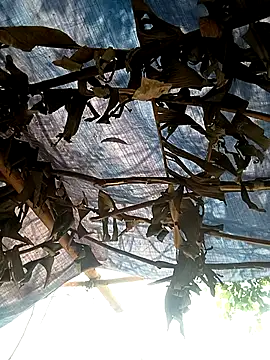 Mizu-hotshow online show from April 2026 03:44:02 AM