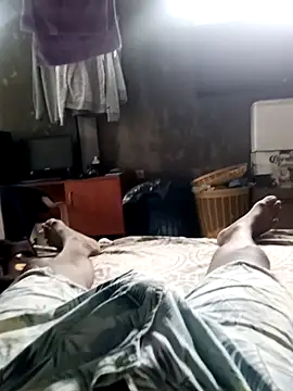 Javier 068 online show from April 2026 01:22:01 PM