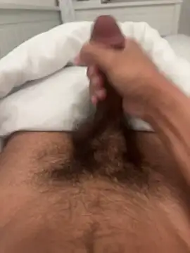 adhesivetn online show from March 2026 09:37:01 AM