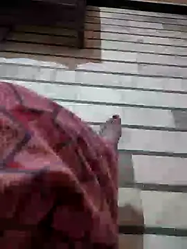 Tamillaxmi12 online show from March 2026 03:58:01 PM