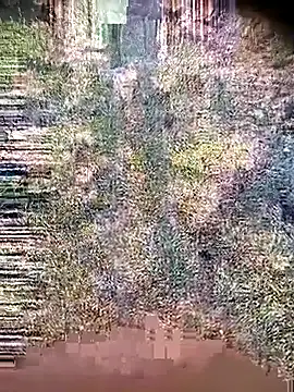 Ambala1 online show from April 2026 01:42:02 AM