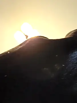 KinkyKittyBoy online show from April 2026 06:10:01 PM