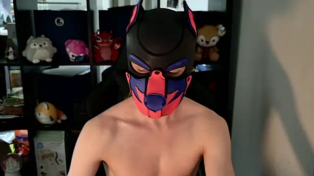 MellPUP online show from June 2026 08:42:02 PM