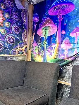 drednasty online show from March 2026 12:01:02 AM