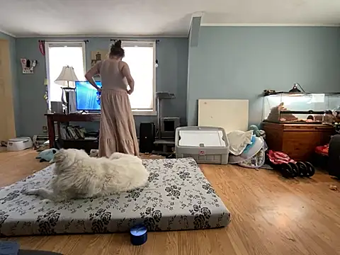 highimmaryjane online show from March 2026 04:46:01 PM