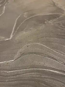 sharks90 online show from March 2026 04:06:01 AM