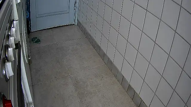 rudy25cm online show from April 2026 01:39:02 PM