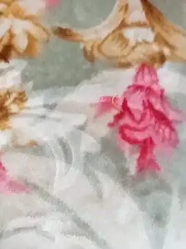 Divya3107 online show from April 2026 08:33:02 AM