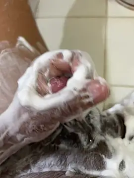 Chotiluli4 online show from April 2026 08:52:02 AM