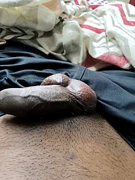 Snapshot of Splashyblackboard2 chatting on March 2026 04:55:01 PM Splashyblackboard2 online show from March 2026 04:55:01 PM