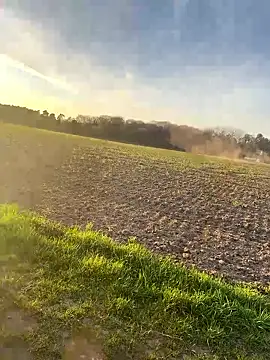 SoftAmjad online show from April 2026 05:46:02 PM