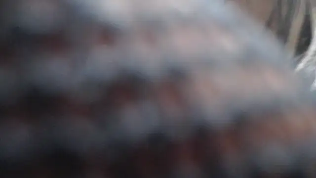 Britanylovee online show from March 2026 02:50:01 PM