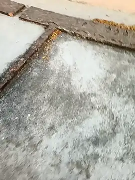 Desii rockstarr online show from March 2026 01:11:01 AM