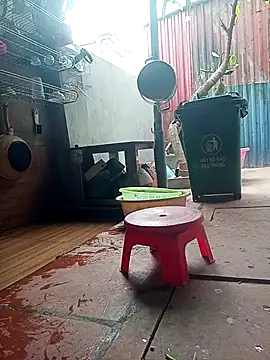 Leylin 1 online show from March 2026 06:06:02 AM