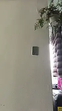 La-venus online show from April 2026 02:00:02 PM