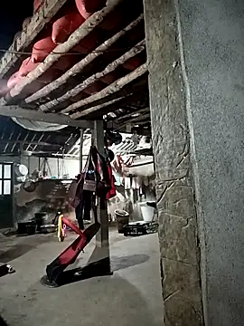 kalara kail online show from March 2026 10:55:01 PM