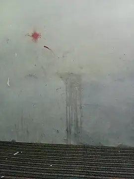 School teacher12 online show from April 2026 03:55:02 PM