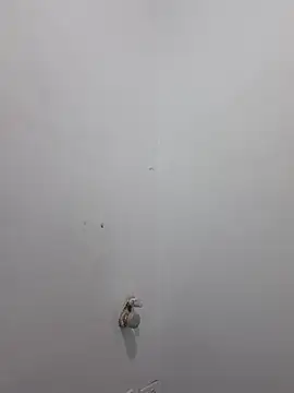 Aila Phone online show from March 2026 02:06:02 PM