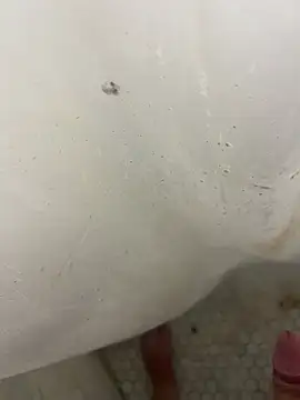 Jacobhj online show from April 2026 07:48:01 PM