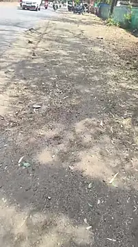 xyz 2giT online show from March 2026 08:51:02 AM