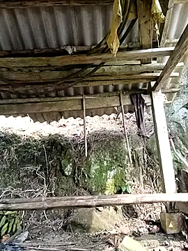 NIANIAKUTE online show from April 2026 01:47:02 AM