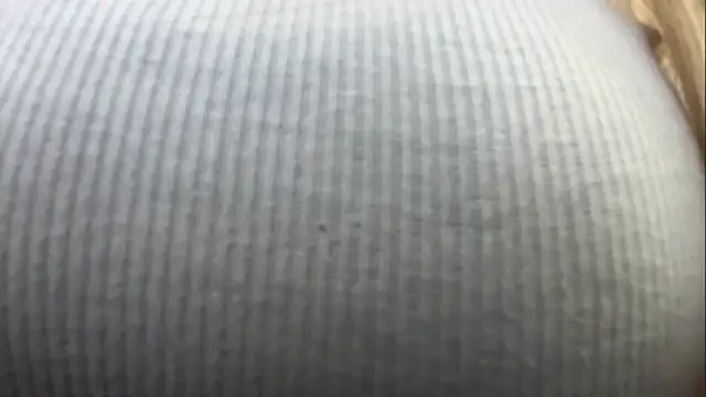 HelenaBargo online show from April 2026 05:06:01 AM