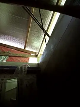 -Tiduta- online show from March 2026 04:56:01 AM