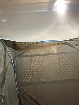 tieuvy6 online show from April 2026 09:50:02 PM