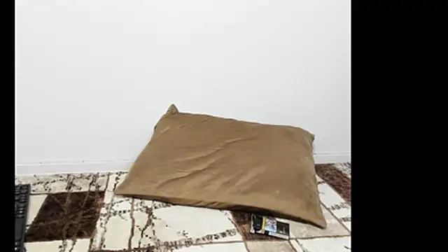 DariaVelvet online show from April 2026 06:10:01 PM