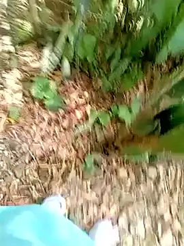 SabrinaVantress online show from April 2026 07:23:02 PM