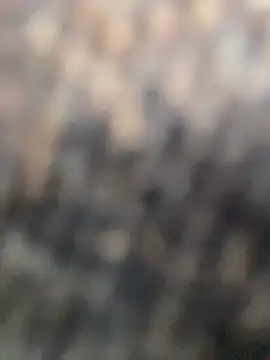 Anitta  LS online show from April 2026 08:06:01 PM