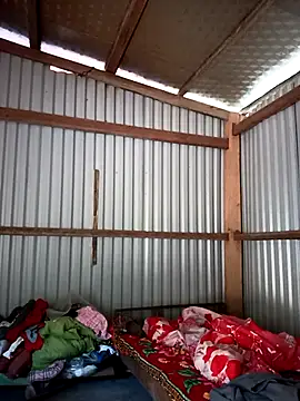 Cute-flowers online show from March 2026 12:11:01 AM