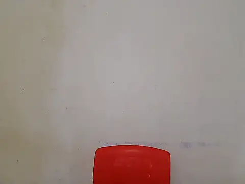 Sara sesy online show from April 2026 08:17:02 AM