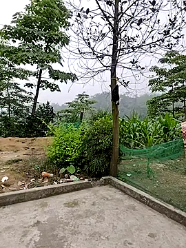 Ruby Lucy online show from April 2026 11:46:01 PM