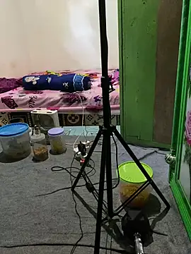 tukangcoli31 online show from April 2026 12:05:01 AM