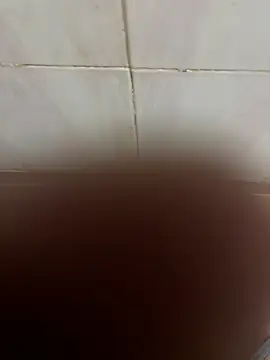 SingleBoy66666 online show from April 2026 06:47:02 AM