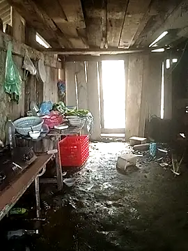 Lily Daisy online show from March 2026 03:56:01 AM