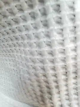 Aurora Nova online show from March 2026 06:08:01 AM