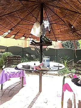 DarkChocolateSlender  online show from April 2026 01:52:02 PM