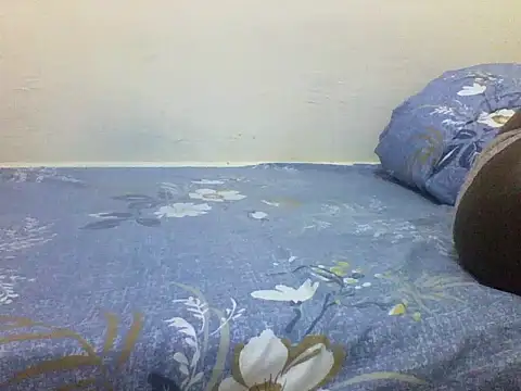 chauke2345 online show from April 2026 11:47:02 AM