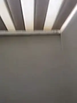 maia lion online show from April 2026 05:47:01 PM