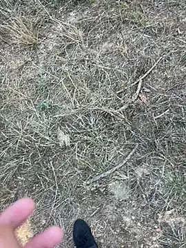 yingzi003 online show from April 2026 07:42:01 AM