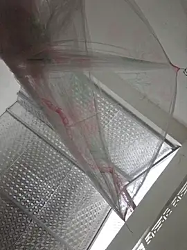 hanameo online show from April 2026 01:43:02 PM