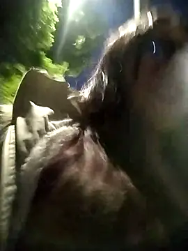 martina 7 online show from April 2026 11:31:02 PM