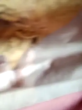 -Bianmi- online show from April 2026 02:20:01 AM