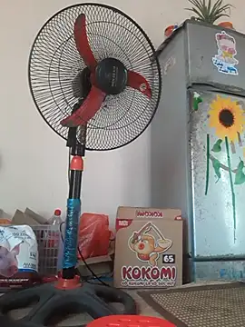 -Bianmi- online show from April 2026 06:52:01 AM