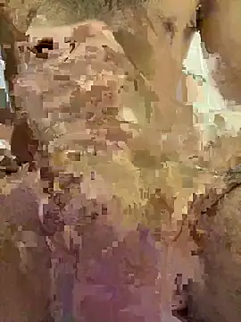 Biuals online show from April 2026 04:28:02 PM